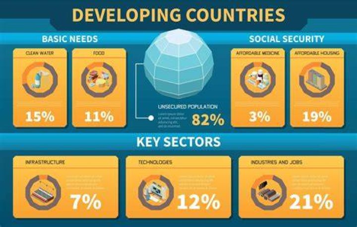 What are the top developing countries?