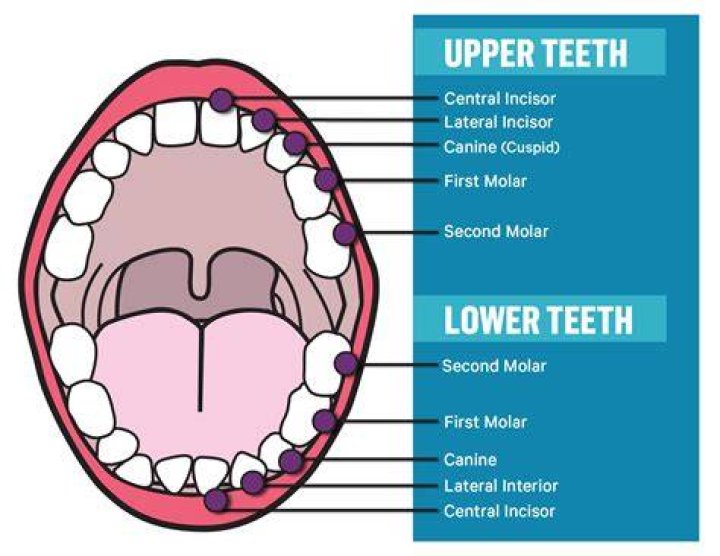 What are the two functional areas?