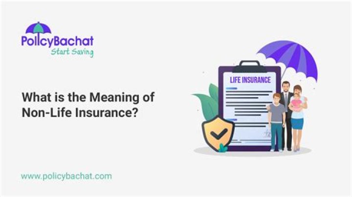 What are the types of non-life insurance?