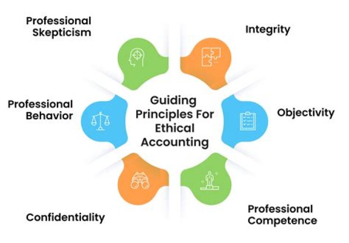 What are three professional accounting organizations?