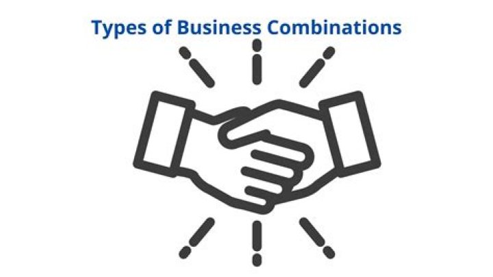 What are types of business combinations?