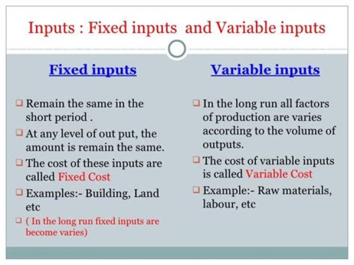 What are variable inputs?