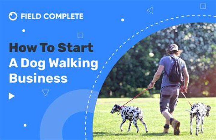 What business category is dog walking?