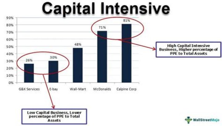What businesses are capital-intensive?