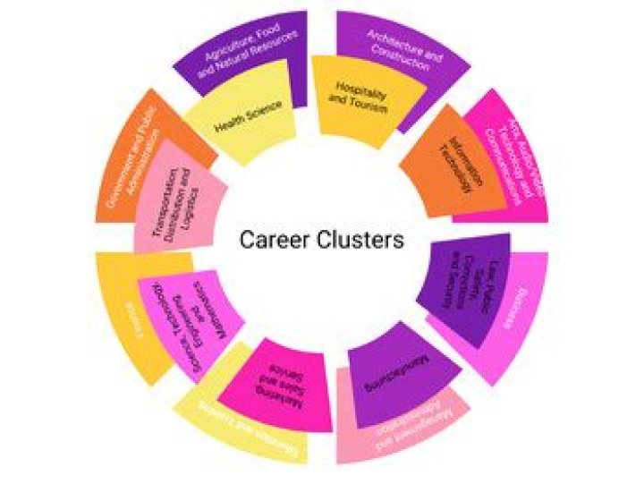 What career cluster are accountants in?