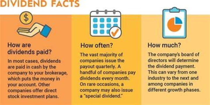 What category does dividends go under?