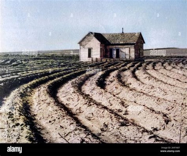 What caused farmers to lose their farms in the 1930s?
