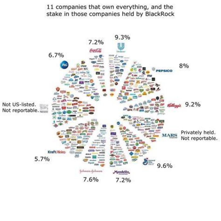 What companies are owned by stockholders?