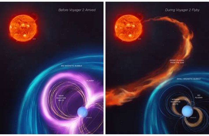 What creates a planets magnetic field?
