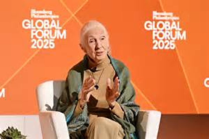 What did Jane Tomlinson die of?