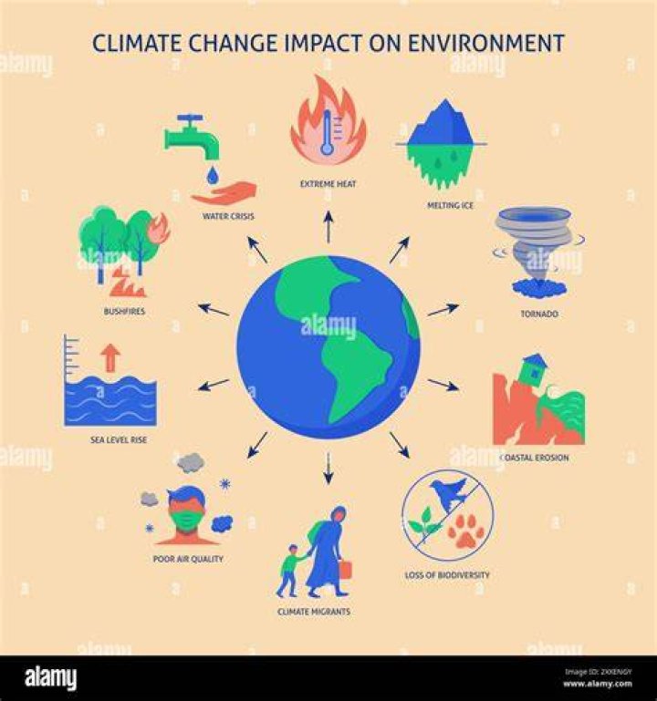 What do environmentalists argue about the impact of free trade on the environment?