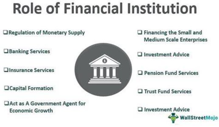 What do financial institutions offer?