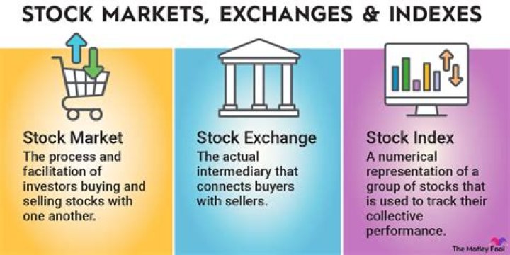 What do stock exchanges facilitate?