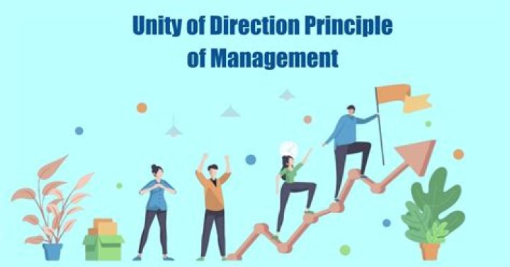 What do u mean by unity of direction?