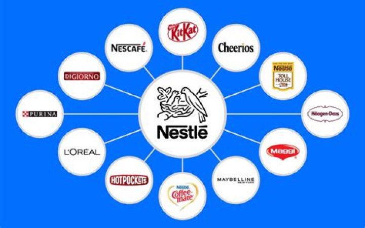 What do we call a person who owns a company?