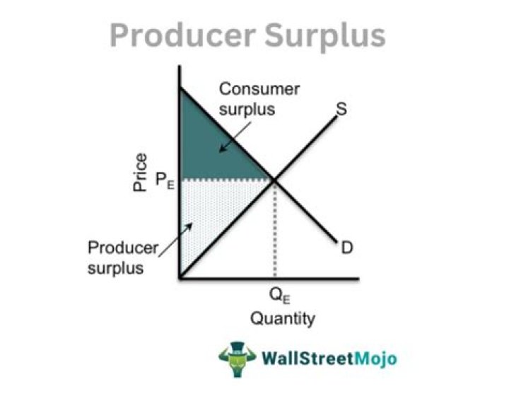 What do you mean by consumer surplus?