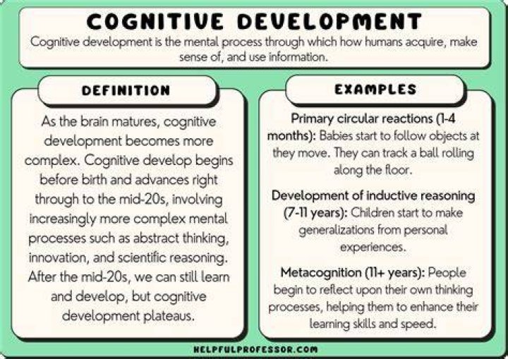 What do you mean by self development?