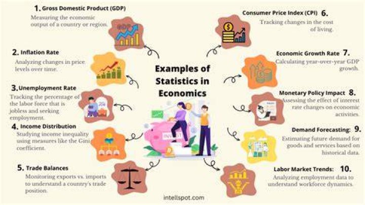 What do you study in business statistics?