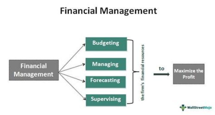 What do you understand by financial management write its functions?