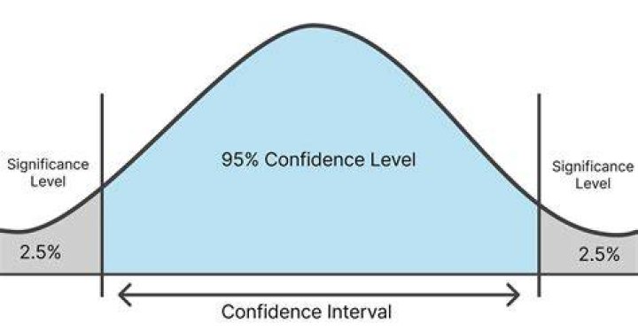 What does 95% confidence level mean?