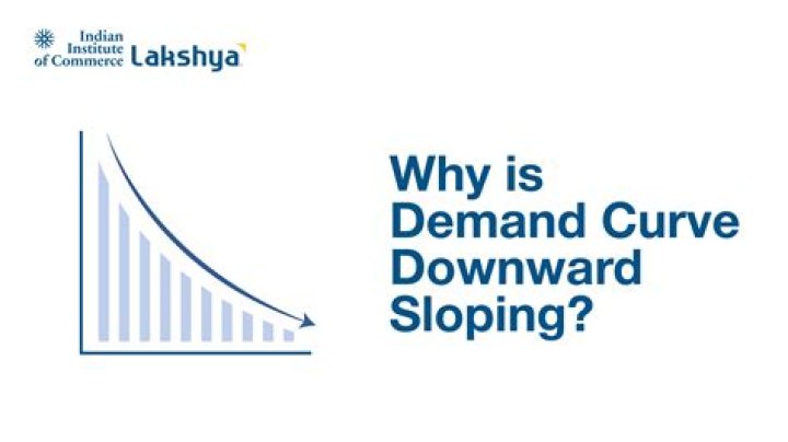 What does a demand curve show us?