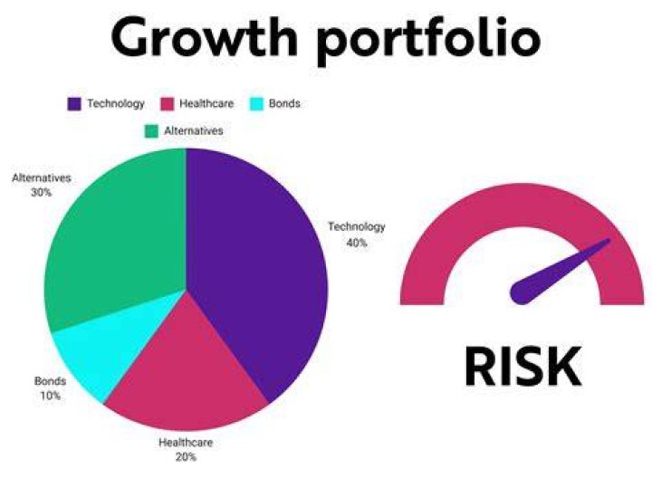 What does a growth portfolio mean?