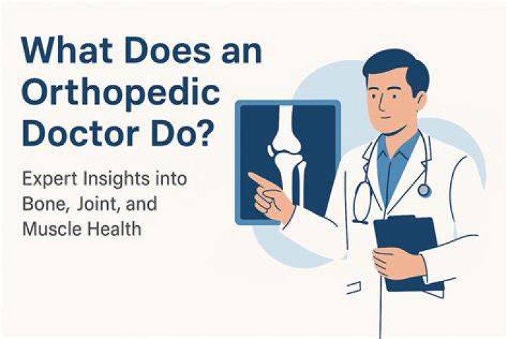 What does a Ph Doctor do?