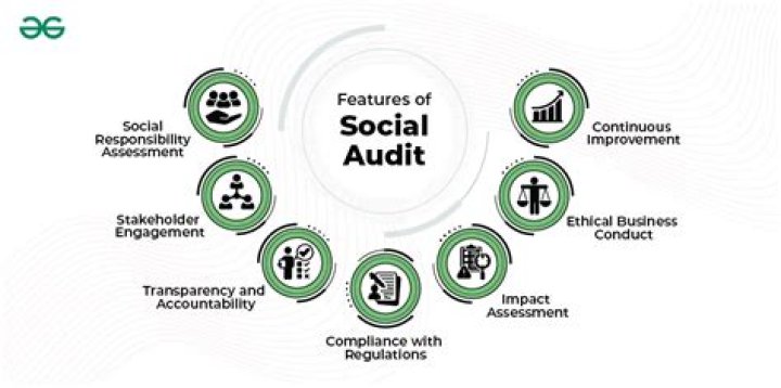 What does a social audit include?