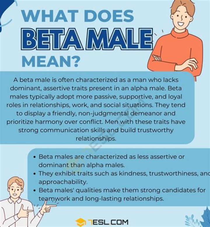 What does a stock beta of 1 mean?