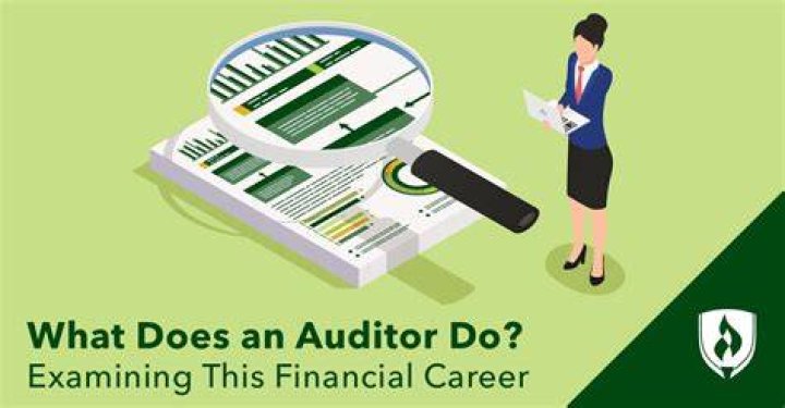 What does an auditor provide?