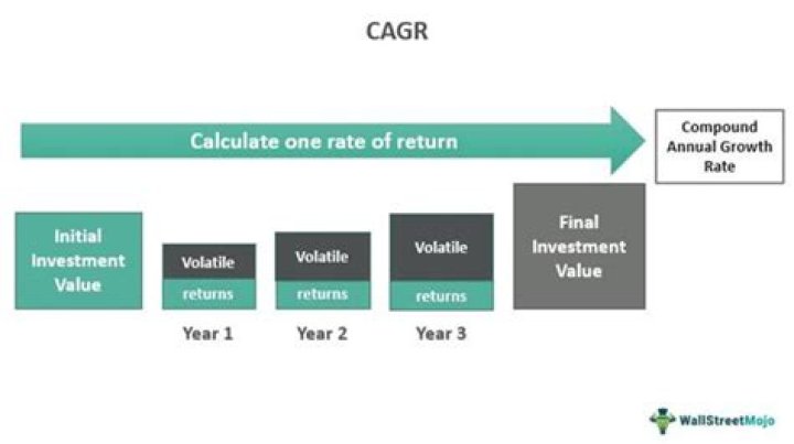 What does CAGR mean in business?