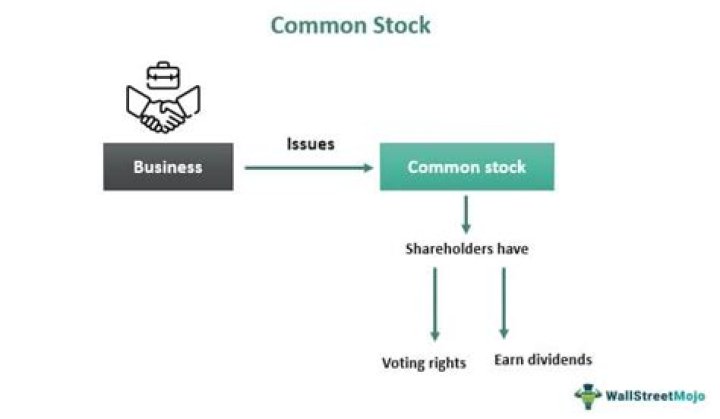 What does common stock mean in a corporation?