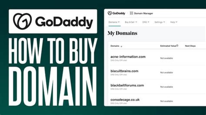 What does GoDaddy have to do with domain names?