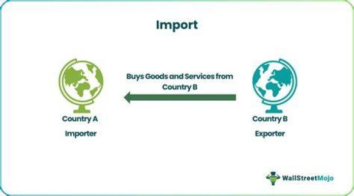 What does import mean in simple terms?
