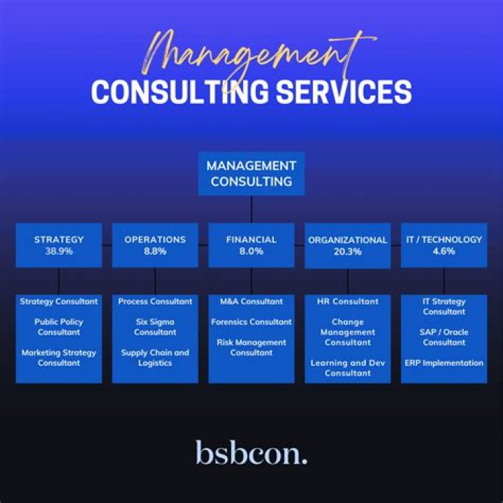 What does management consulting services do?