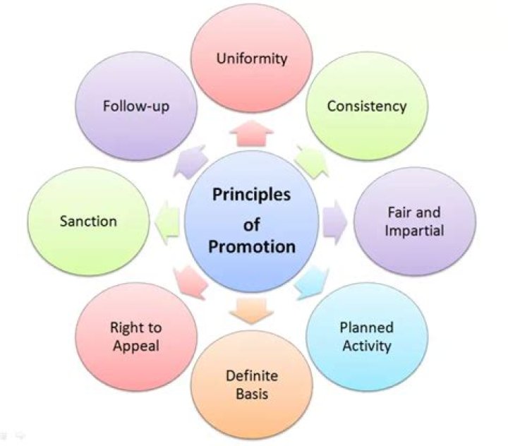 What does promotion mean in business?