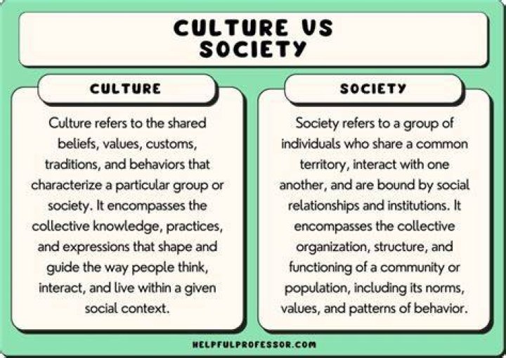 What does the Matsushita case teach you about the relationship between social culture and business success?