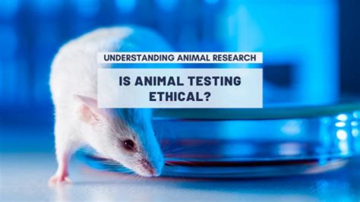 What ethical issues might arise?