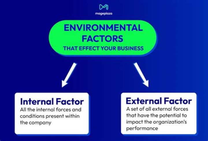 What external environmental factors affect businesses?