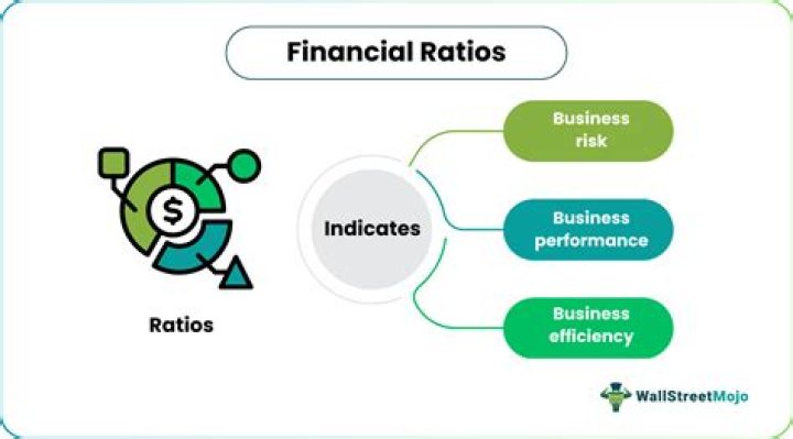 What financial ratios are percentages?