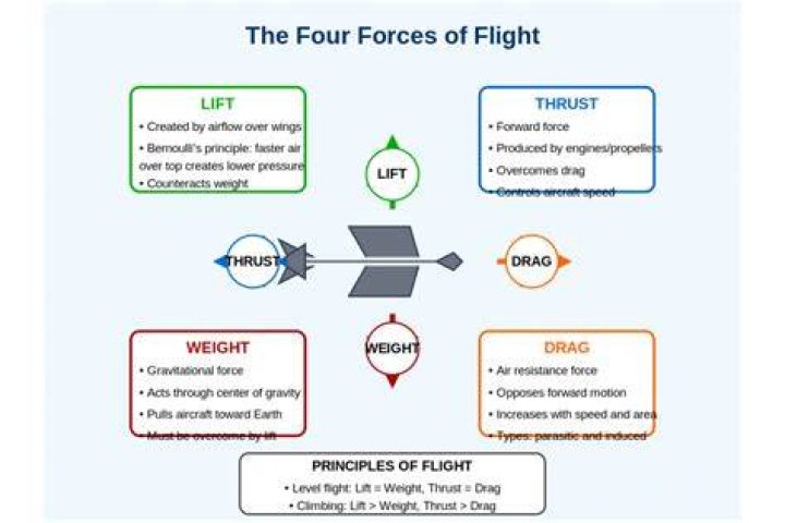 What forces affect a plane in flight?