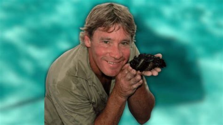 What happened to Steve chaisson?