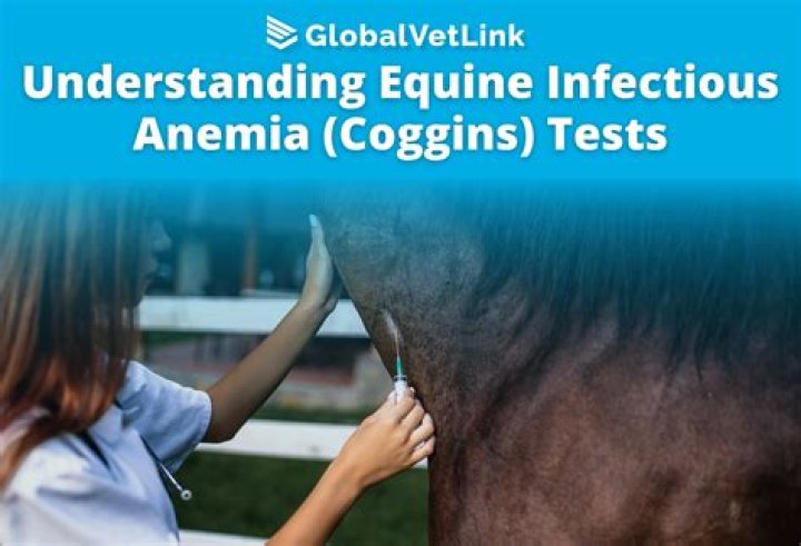 What happens if a horse tests positive for Coggins?