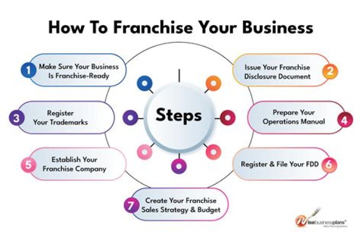 What is a business franchise and how does it work?