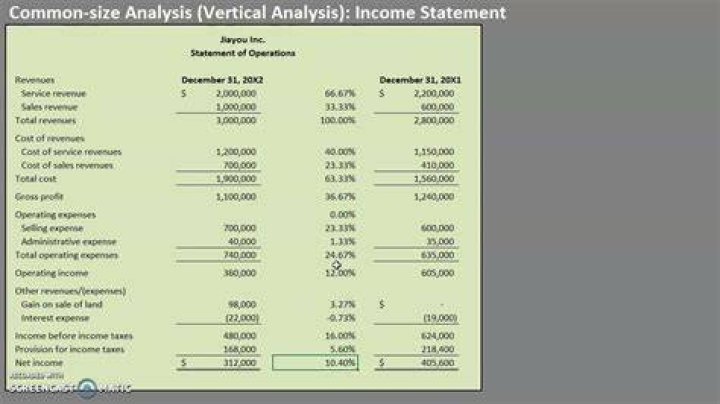 What is a common size vertical income statement?