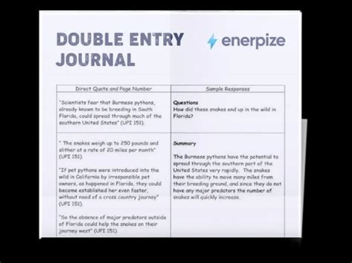 What is a double-entry journal in writing?