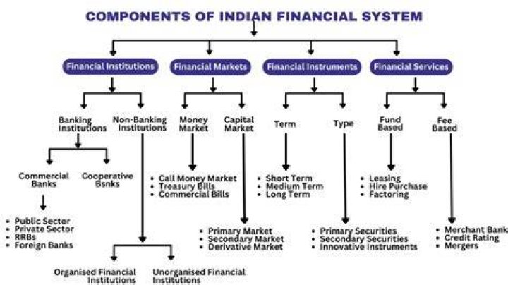 What is a financial system and why do we need one?