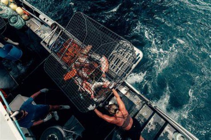 What is a fishing job called?