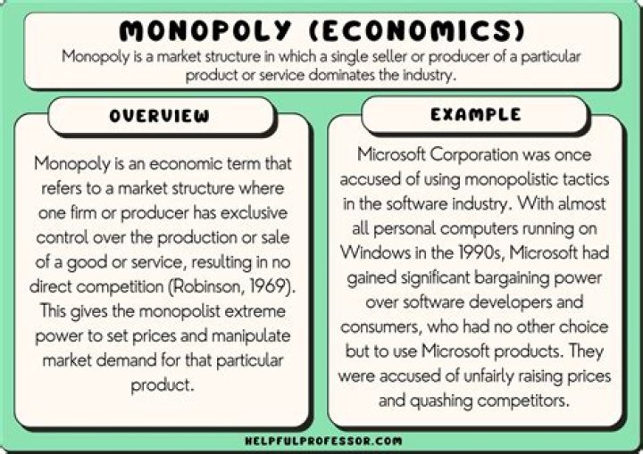 What is a government monopoly in the US?