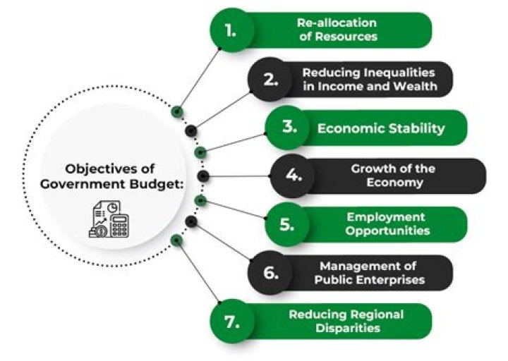 What is a government operating budget?
